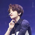 [백현] 백현 나비<b>소녀</b> 2일