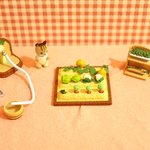 하늘다람<b>쥐</b> 두루뭉실이의 농장체험기