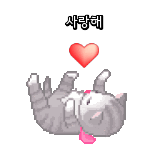 댕댕콘 생성기 대박 ㅋㅋㅋ