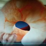 [BTOB] 이거 새우목<b>베개</b> 어디서 팔아??
