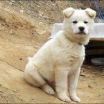 [세븐틴] 이제 <b>찬이</b> 졸업만 남았네