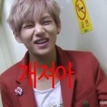 [방탄소년단] ㅅㄷ 하 ㅁㅊ기분겁나 호롤롤함