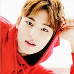 [세븐틴] ㅅㄷ ) 나도 어제 2번째로 셉몽 꿈ㅠㅠㅠ