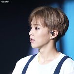 [시우민] ㅅㄷ)웅녀들 <b>저</b> <b>밑</b>에 슬로건 문의질문인데ㅠㅠ