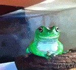 [댓글부탁해] 후면카메라로 찍으면 <b>좌우</b>반전되지않아??