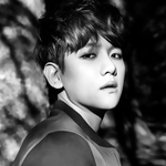 [EXO] 엑소 <b>리터</b>칭 해봄