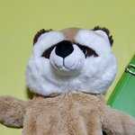 바자회에서 <b>사온</b> 인형의 정체