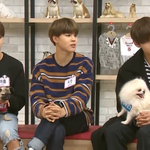 [방탄소년단] <b>짐</b>니 머리 무슨<b>색</b>이니..