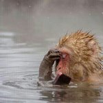 [댓글부탁해] +)잘나가는아이돌공통점(판.<b>ver</b>)