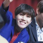 [방탄소년단] 호비 <b>실물</b> 이럴듯
