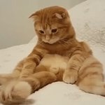 벽판이니까 말하는 건데