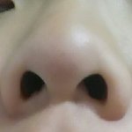 [조언부탁] 올해15살 학생인데 콧구멍이크고 콧대가 낮아 고민입니다...