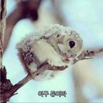 [댓글부탁해] <b>설날때</b> 들을 음악추천좀