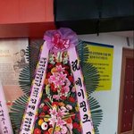 [BAP] 티에스 슈<b>발아</b> 잣나무랑 엮을생각하지마라