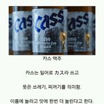[유머판] 카스 맥주의 <b>위엄</b>