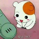 [10대의성] 너네 생리대있잖아