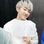 [세븐틴] 호시 이거뭐<b>임</b>?