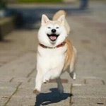 [드루와] <b>사이다</b>사러 나가는데