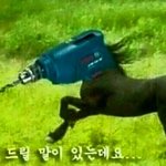 [댓글부탁] 나 너무 아프다 ㅠㅜㅠ 
