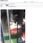 한국의 <b>편돌</b>이 수준 ㅋㅋㅋ