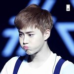 [EXO] 심쿵주의)엑소 레전드 사진 짤줍해가