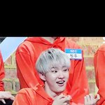 [세븐틴] 나 솔직히