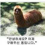 [댓글부탁해] 웃긴짤 공유하자ㅋㅋㅋㅋㅋㅋㅋ