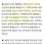 [세븐틴] 활동계획(?)