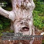 [EXO] 나 염색 많이해서