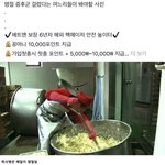 [극혐] 한<b>남충</b>클라스;;