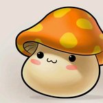[드루와] 아이돌보다 얘가 더 귀여움