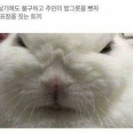 [팬픽] ㅅㄷ 감풍들이 부러워할 것 같은 내 특기
