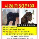 제발 살아만 있어줘.................