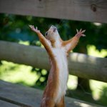 [EXO] 얘들아 나 조 카 부럽지?