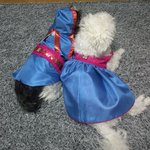 한복입은 애기와<b>흰둥이</b>