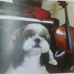 늦둥이 <b>마리</b> 3탄