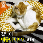 [메룽이<b>집사</b>] 길냥이 메룽이 이야기 #19