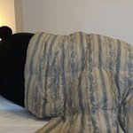 [방탄소년단] 왕.. 다들 <b>친척</b>들중에