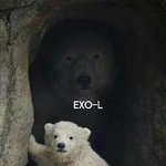 [EXO] <b>종인</b>이 그럼 혼자 한국에 남아서ㅜㅜ