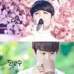 [도경수] 경수 롤롤이들이 차곡차곡 쌓여서 뿌듯하다