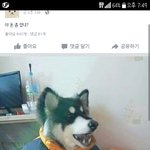 너희 주변에 이름재밌는사람있어?ㅋㄱㅋ