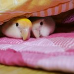 나 입술 왜이래?