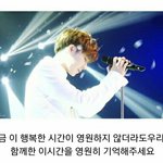 [인피니트] 나방금갤러리정리하다가