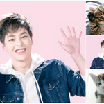 [시우민] 슈냥이의 매력에 빠져보<b>새오</b>>.<(시우민)