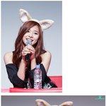 [유머판] 99년생 <b>사막</b>여우