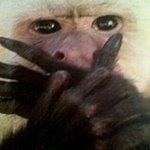 [EXO] 와 이거 콜베 리믹스인거같은데 존좋