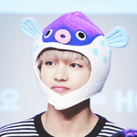 [BAP] 림들 방탄 잡덕인거 다 안다