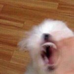 [드루와] 새벽 공부 할 친구