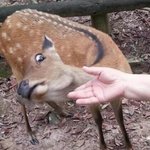 [EXO] ㅅㅂ 새벽인데도 차이 왤케 벌어지냐