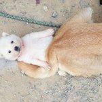 [댓글부탁해] 혹시 호오옥시 <b>무턱</b>필러 맞아본 사람?..